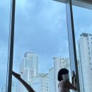 폴리너스폴댄스 이미지