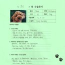 1451 | [#1451] 토르(양측 슬개골탈구 G3)의 수술후기