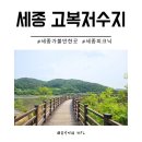 세종 나들이 가볼만한 곳 고복저수지 수변 산책로