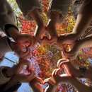 장흥수목원펜션 이미지