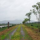 지리산둘레길 제18구간 (오미~방광 난동) 이미지