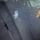 호야 달수 이미지