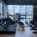 펠리스짐 이미지