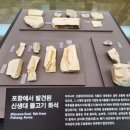 달성화석박물관 이미지