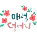 독일미 네이버블로그