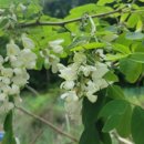 중곡동마을마당 이미지