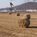 마지2리 이미지