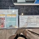 더좋은카 | 왕피천 케이블카 예약 가격 환급방법 탑승 후기 산책길 가볼만한곳