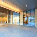 puppy lounge 이미지