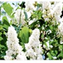 경안고등학교 이미지