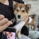 살랑살랑 이미지