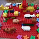 호근농장 이미지