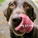 포미김밥 이미지