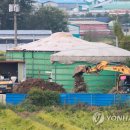 치명농장 이미지