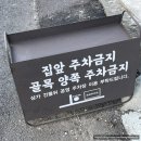 볼고롱짬뽕본점 이미지