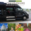 칠십리로 | 제주도 미니버스 투어 제주 버스투어 2박3일 제주여행 후기