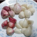 피부마을