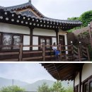 콜라니티다 이미지