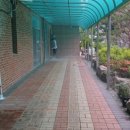 옥동초등학교 | 울산 옥동초등학교 칼라콘크리트 바닥공사 시공 후기