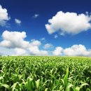 국립농산물 품질관리원 이미지