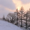 의야지바람마을 이미지