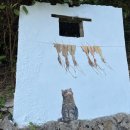 새동해바다 이미지