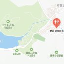 백양농장 | 분당 율동공원맛집 식사 향촌 토시살정식 후기