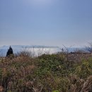 섬마 | 일본 다카마쓰 고양이섬 오기지마에서 고양이 7마리 쓰다듬은 후기