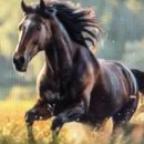 안성 금광호수 휘리~릭 이미지