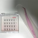 [다이소] 단돈 3,000원! '화알못'의 노글루 속눈썹 두번째 도전기(2호 peach) 👀✨