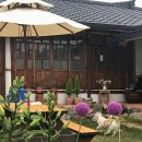 현암리 돌담집 이미지