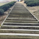 다원중학교 | 대한 다원 보성 녹차밭 다녀온 후기