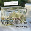 님 바래기 | 홍대·연남동 부케말리기 후기｜울산에서도 찾아온 부케순이의 선택, 카라 컬러링 복원이 진짜 예술