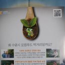 수원-0089 이미지