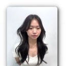 살롱드보떼 | 오랜 시간 고민하다가 드디어 다녀온 정자동 미용실 살롱드리프 정자점 이야기