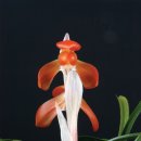 (주)해오름 이미지