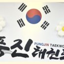 풍진(태권도) 이미지