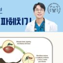 호랑이 동물병원 이미지