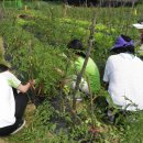 한성농장 이미지