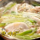 행복을주는닭 이미지