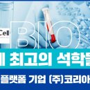 셀드림 이미지