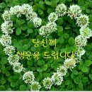 행복직업소개소 이미지