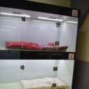 마이도그(My Dog) 이미지