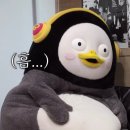 짬짜야