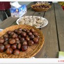 계룡산성화농원