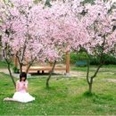 행복한밤 이미지