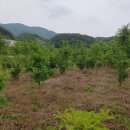 화랑농원