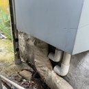 꿈이든소아청소년과의원 이미지