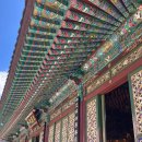 다람쥐공원 | 강원도 오대산 등산코스 | 비로봉·상왕봉 + 다람쥐까지 만나는 힐링 산행 ⛰️🌲🐿️(백대인증)