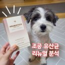 [스압주의/강아지 유산균 추천] 원조가 스펙업했다, 조공 프로바이오틱스 리뉴얼 성분 분석 리뷰 I DDS...